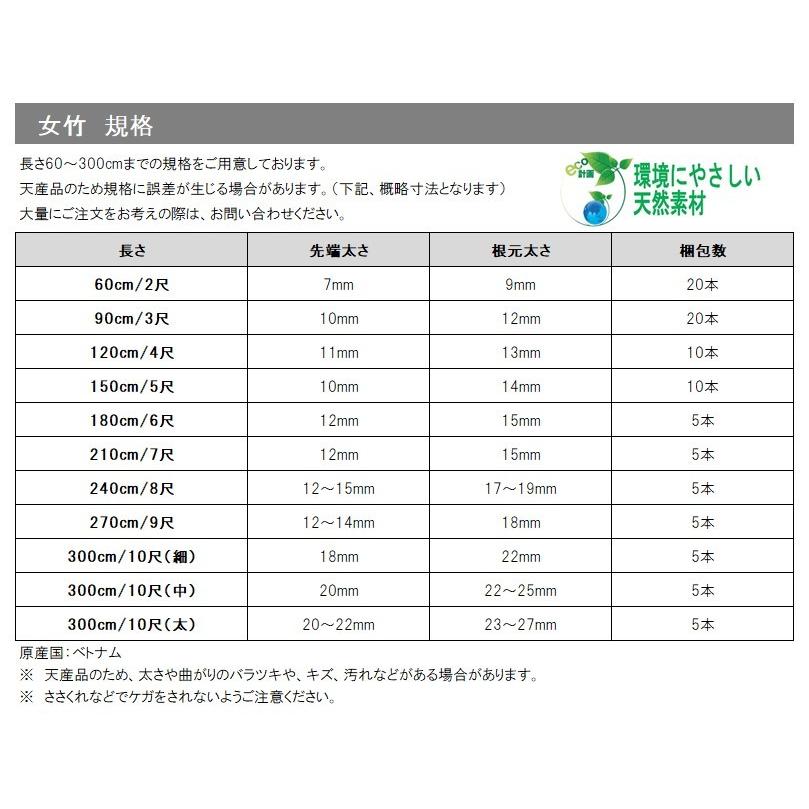 女竹　篠竹　小径管　9本セット　③ 女竹 210cm（7尺）×10本 篠竹 農業用、園芸用の支柱など 竹 支柱