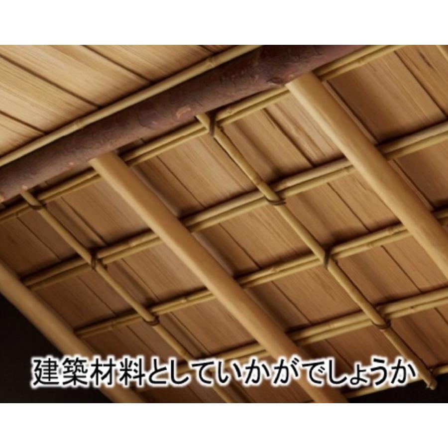 女竹 300cm 5本（中） 篠竹 天然竹 竹支柱 添え木 園芸用 農業用 定植