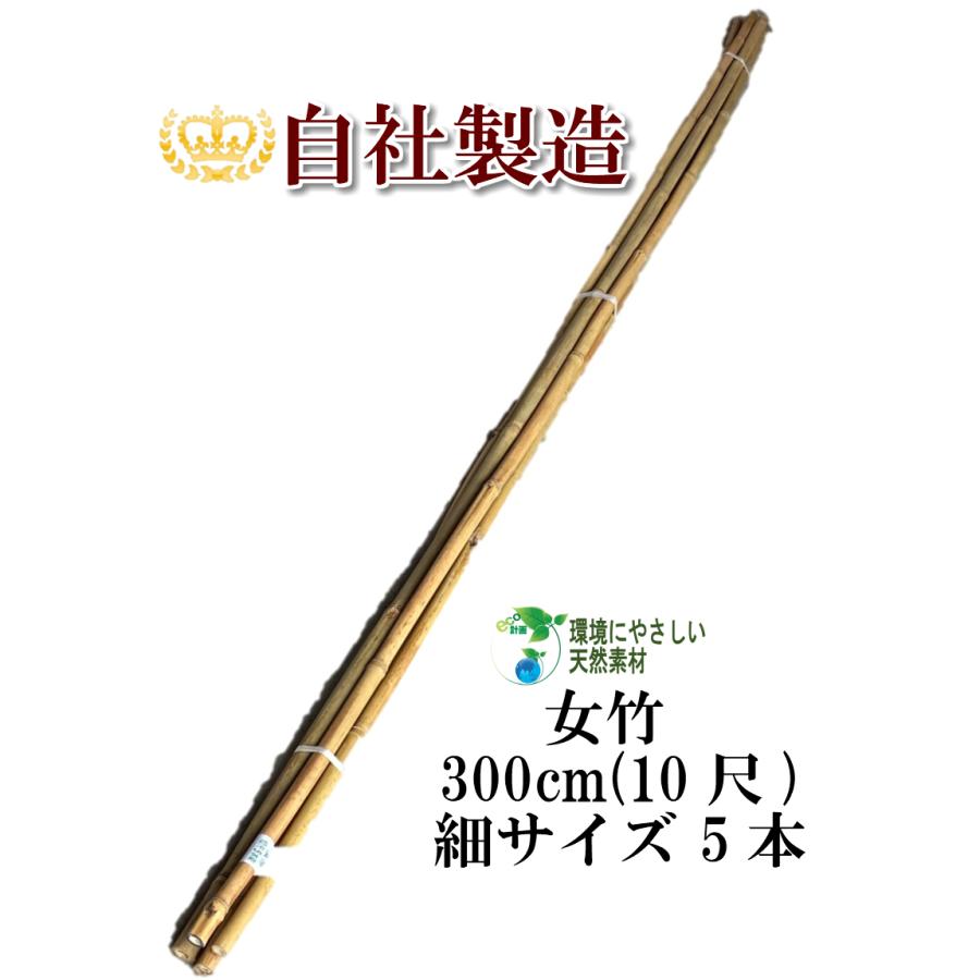 女竹　篠竹　燻竹３本セット　B 女竹 300cm 5本（細） 篠竹 天然竹 竹支柱 添え木 園芸用 農業用