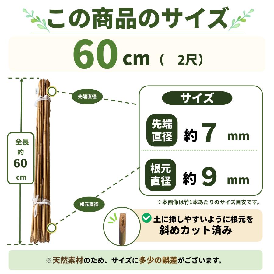 女竹 60cm 100本 篠竹 天然竹 竹支柱 測量用 測量用品 目印 農業用