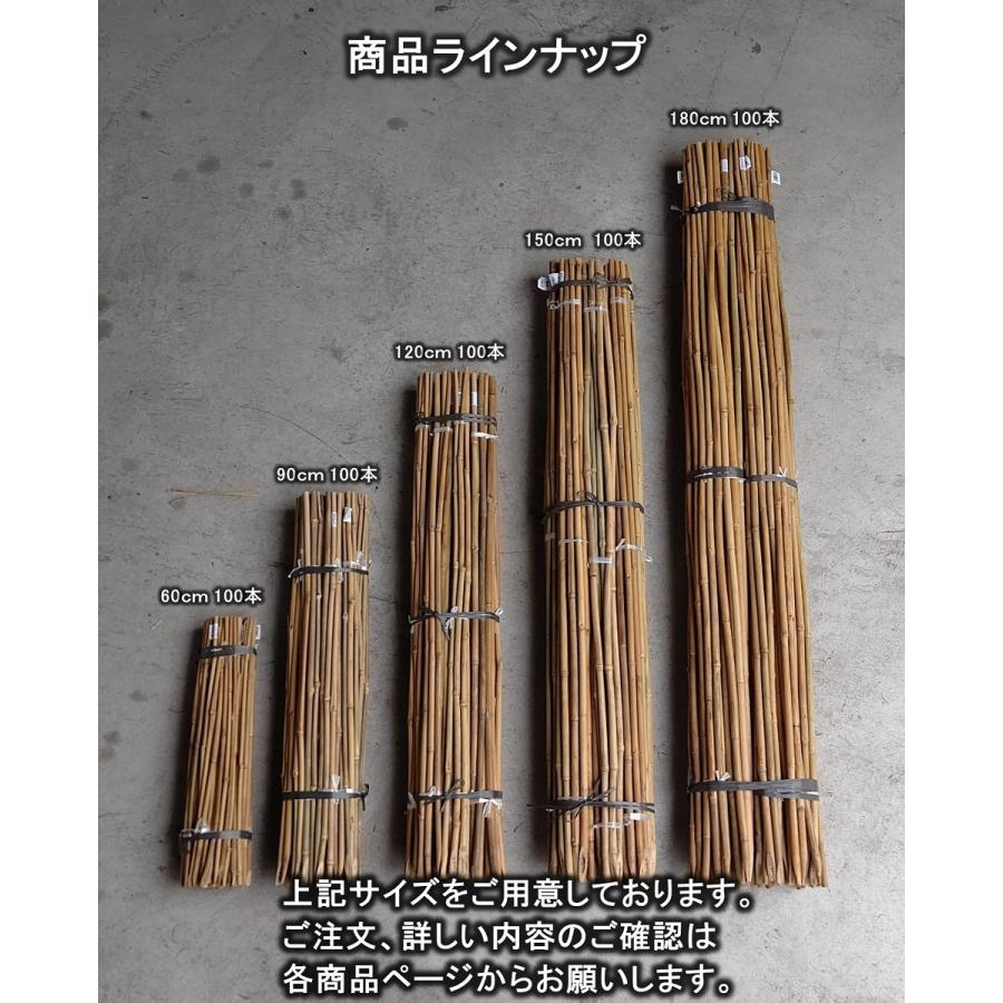 女竹 60cm 100本 篠竹 天然竹 竹支柱 測量用 測量用品 目印 農業