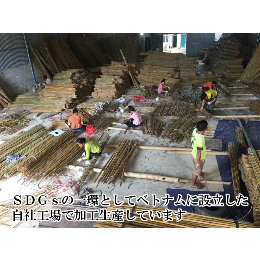 女竹 60cm 100本 篠竹 天然竹 竹支柱 測量用 測量用品 目印 農業用