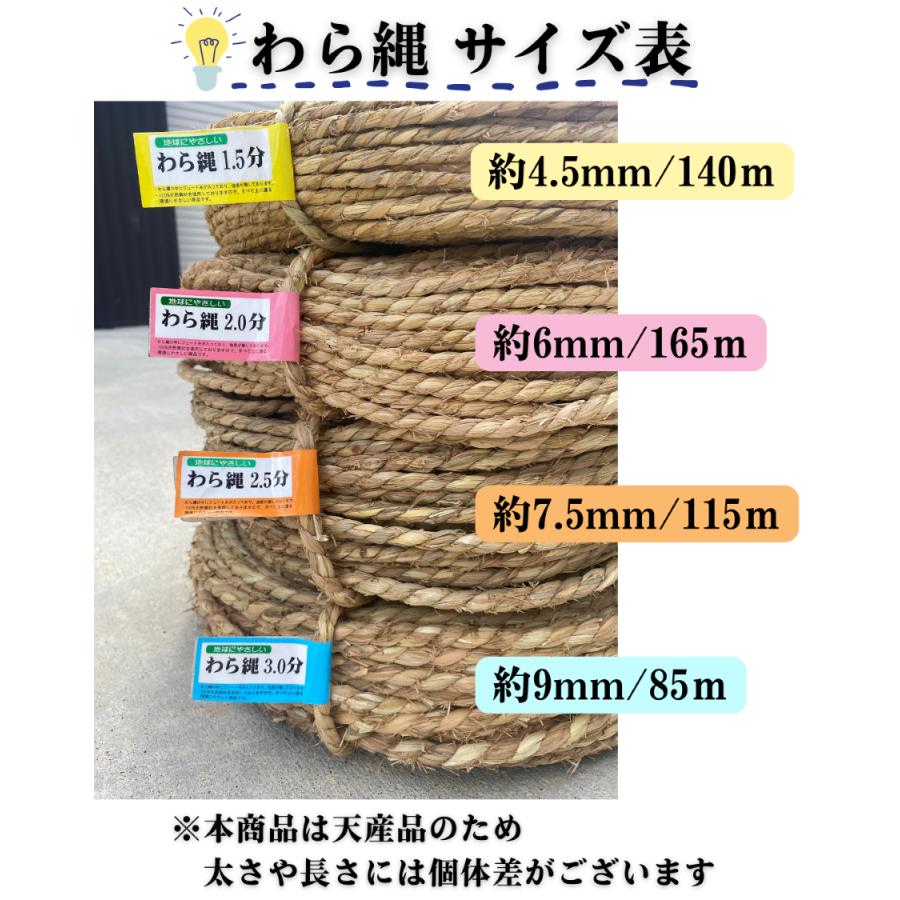 わら縄 2.5分（太さ7.5mm）5巻セット 冬囲い 雪つり 根巻 藁縄 荒縄 
