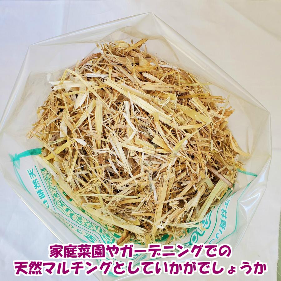 カットわら 10リットル 敷き藁 稲わら カット敷きわら 家庭菜園 天然の 