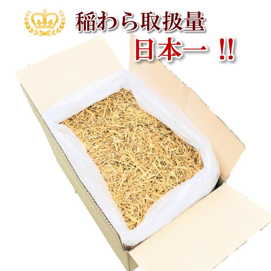 最旬トレンドパンツ カットわら 敷きわら わら 天然のマルチング 5kg 稲藁 園芸用 農業 藁 稲わら その他ガーデニング、園芸用品 最旬トレンドパンツ カットわら 敷きわら わら 天然のマルチング 5kg 稲藁 園芸用 農業 藁 稲わら その他ガーデニング、園芸用品