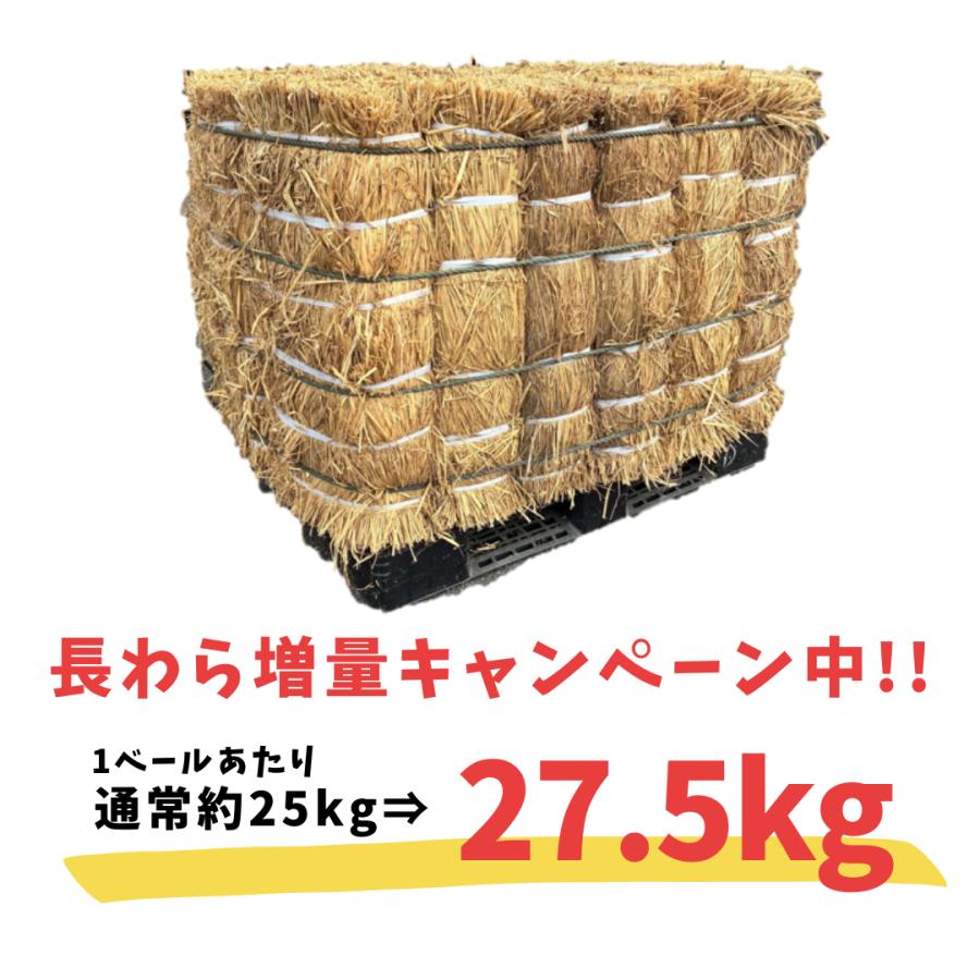 今だけ10％増量中！】長わら 約25kg 16ベール 大容量 稲藁（農業・園芸