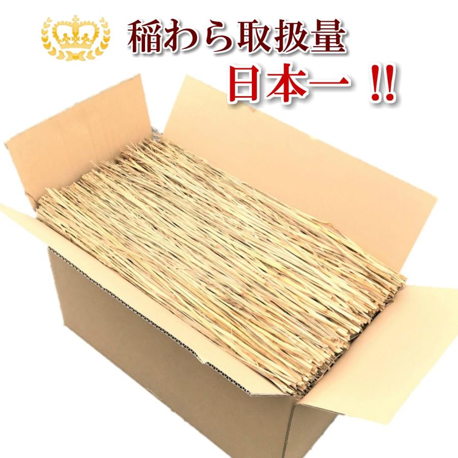 選別わら 65cm 8kg（軽選別） 鰹の藁焼き わら焼き 農業 園芸用