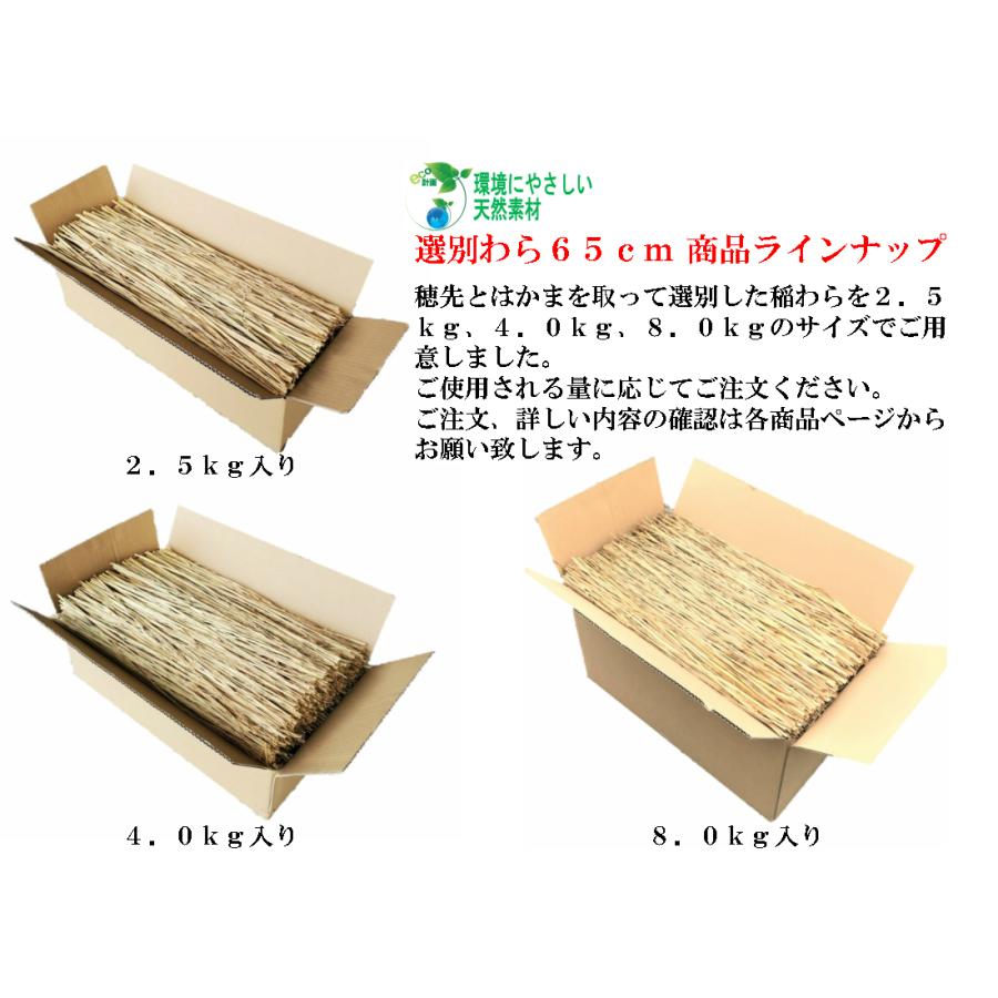 選別わら 65cm 8kg（軽選別） 鰹の藁焼き わら焼き 農業 園芸用