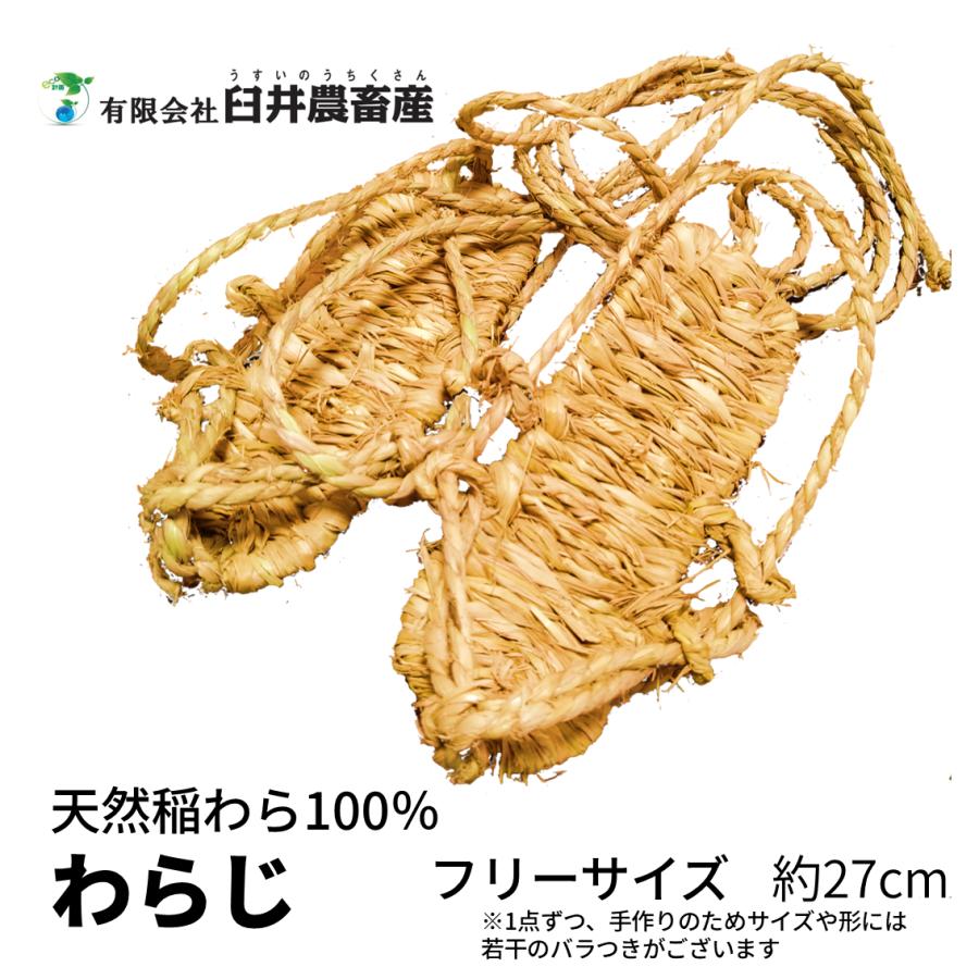 わらじ 草鞋 大人用 フリーサイズ 約27cm お祭り 伝統芸能 イベント