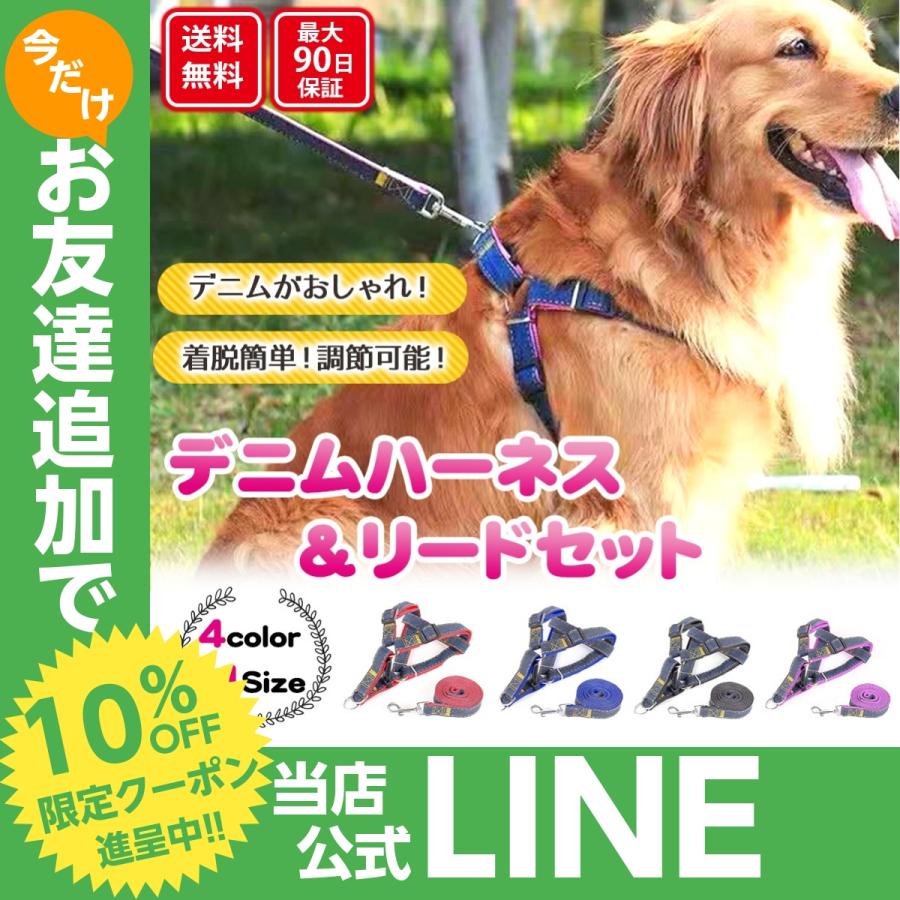 犬 ハーネス おしゃれ 小型犬 中型犬 大型犬 脱げない 犬用ハーネス リードセット ハーネスリードセット 予約販売 本