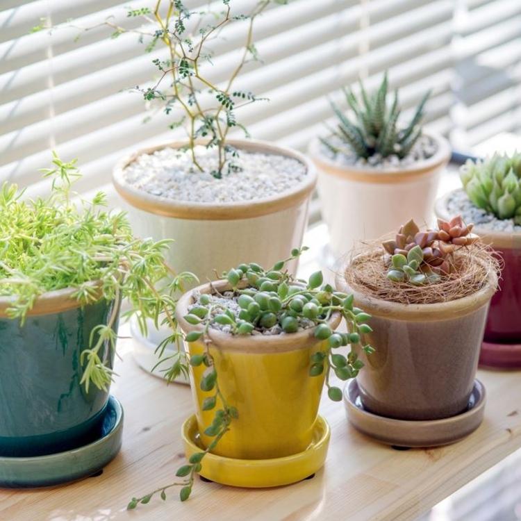 植木鉢 おしゃれ グロッシーポット 直径10cm ガーデニング