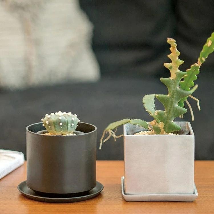 植木鉢 おしゃれ スクエア 10.5cm 角型 四角 ガーデニング グリーン