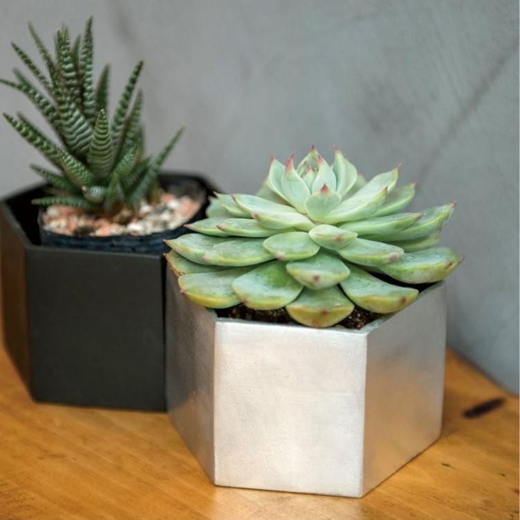 植木鉢 おしゃれ ヘキサゴンポット 10.5cm 六角形 ガーデニング