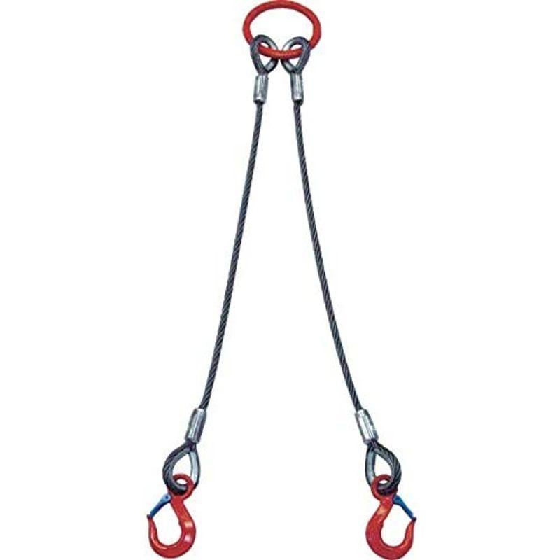 産業用品　大洋　2本吊　ワイヤスリング　3.2t用×1m　2WRS