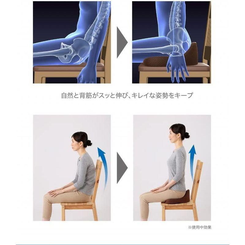 プロイデア 腰楽 馬具マット 馬具マット 腰楽 　