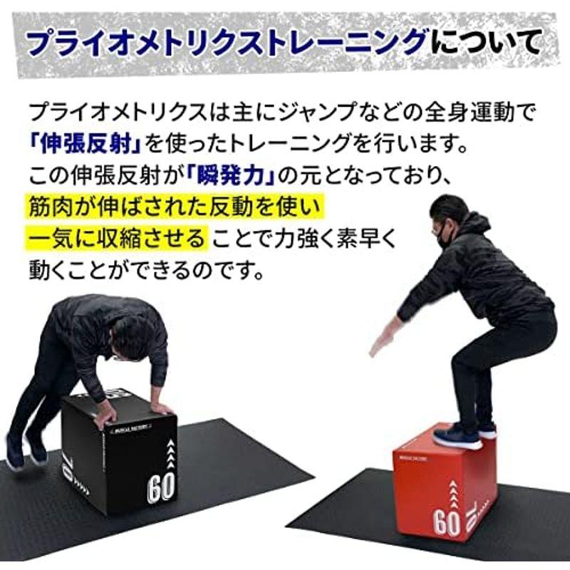 25【新品未使用】 MUSCLE FACTORY プライオボックス ソフト 50×60×70cm ジャンプボックス プライオメトリクス ボックス ステップ台 エ 【6963121751】(25328円)