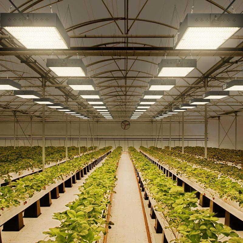 1000Wと1500W LED植物育成ライト フルスペクトル植物用ライト 観葉植物ライト 室内水耕栽培ライト 屋内植物 家庭菜園 野菜工場用｜utilityfactory｜05