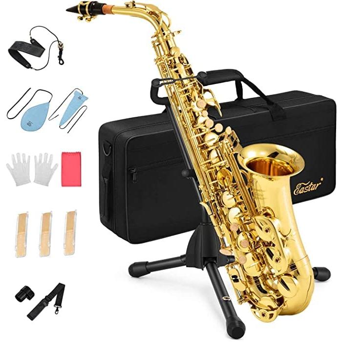 ゴールド サックス本体 ケース付き Amazon.co.jp: アルトサックス 初心者入門セット Saxophone