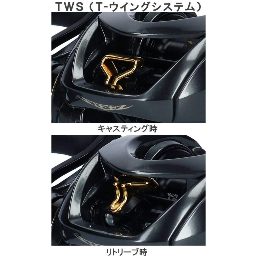 ダイワ(DAIWA) ベイトリール 19 スティーズ CT SV TW 700XHL (2019