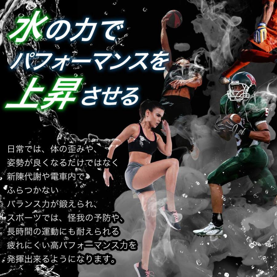 PIVOT GEAR ウォーターバッグ トレーニング器具 ウォーター