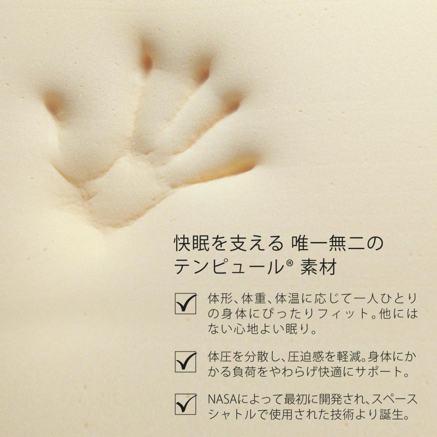 テンピュール(Tempur) クッション 腰枕 ベッドバックサポート テンピュール(Tempur) クッション 腰枕 ベッドバックサポート