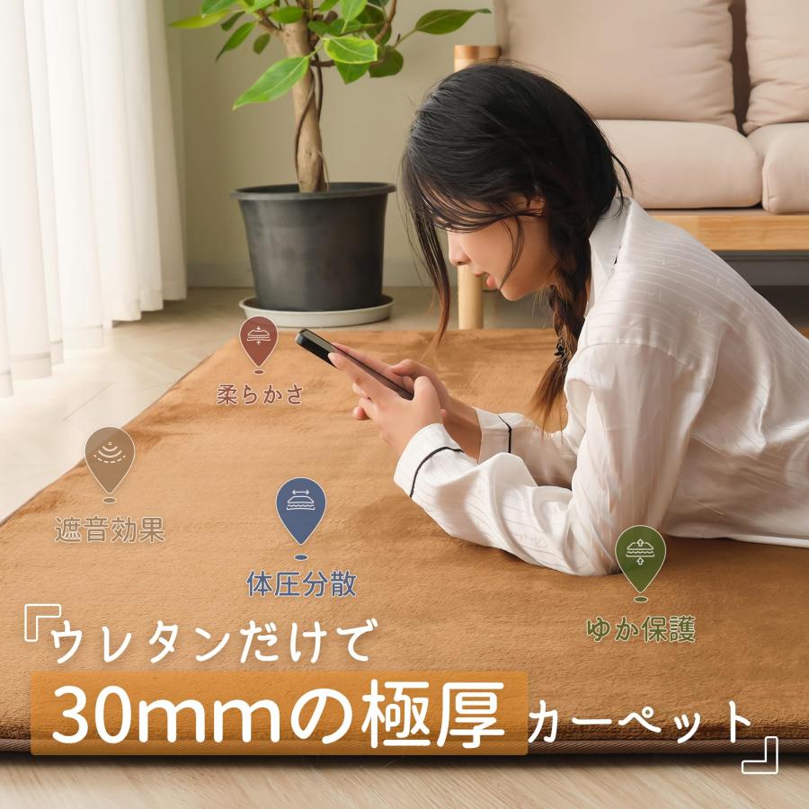 HARUMIN 極厚30mm カーペット ラグ 厚手 約3畳 HARUMIN 極厚30mm カーペット ラグ 厚手 約3畳