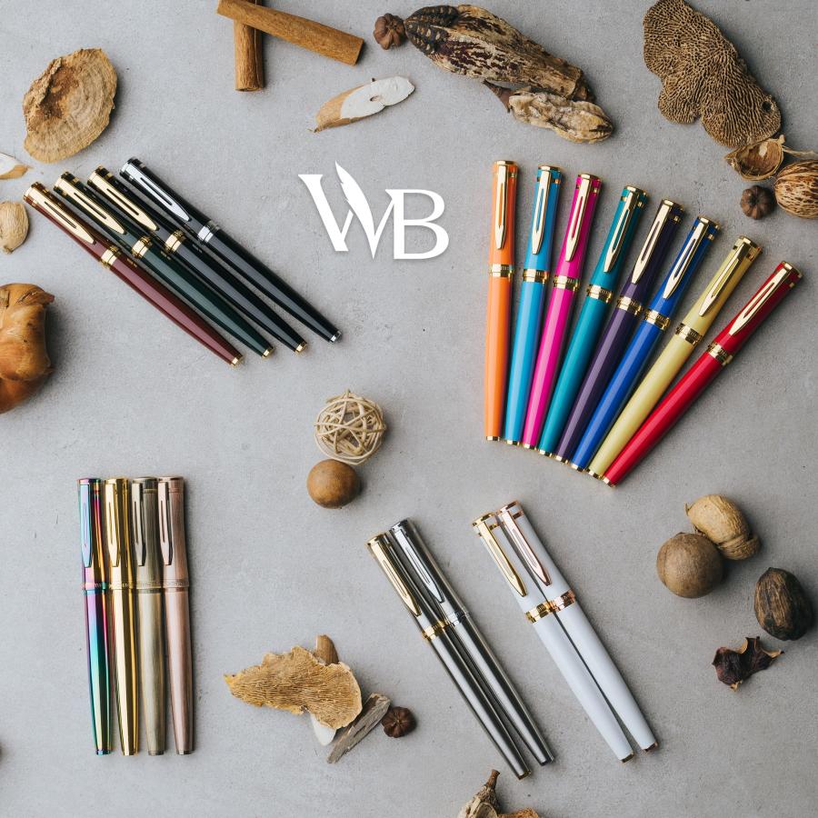 万年筆・シャープペンセット 6本　筆箱・インクおまけ付き 万年筆・シャープペンセット 6本 筆箱・インクおまけ付き