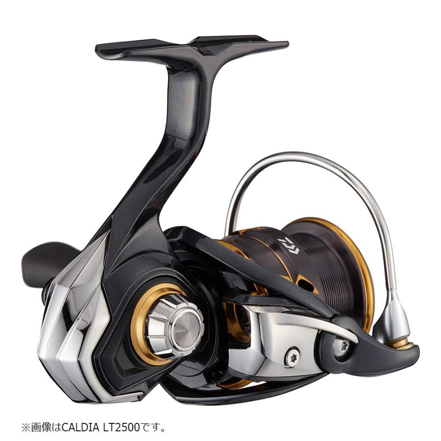 ダイワ 21カルディア3000-CXH スピニングリール DAIWA（釣り） 【目玉商品】ダイワ 21 カルディア LT3000-CXH
