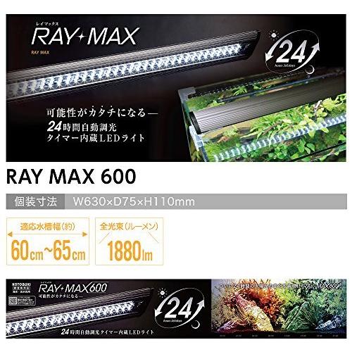 変革のパワーを授ける・願望成就 寿工芸 コトブキ工芸 RAY-MAX 600