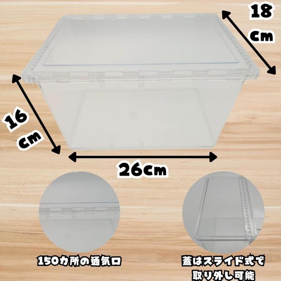 カブトムシ／クワガタ育成キット 4点セット クリアケース 乾燥水
