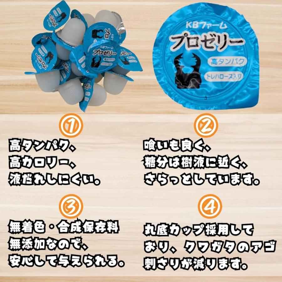 【売り切り特価】クワガタムシ カブトムシ　飼育用品セット カブトムシ／クワガタ育成キット 4点セット クリアケース 乾燥水