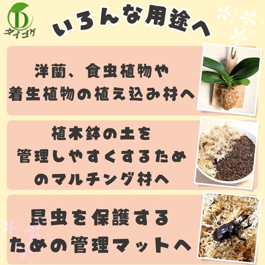 乾燥水苔 ダイゴケ ニュージーランド産 AA+ ランク 2L 異物除去済み