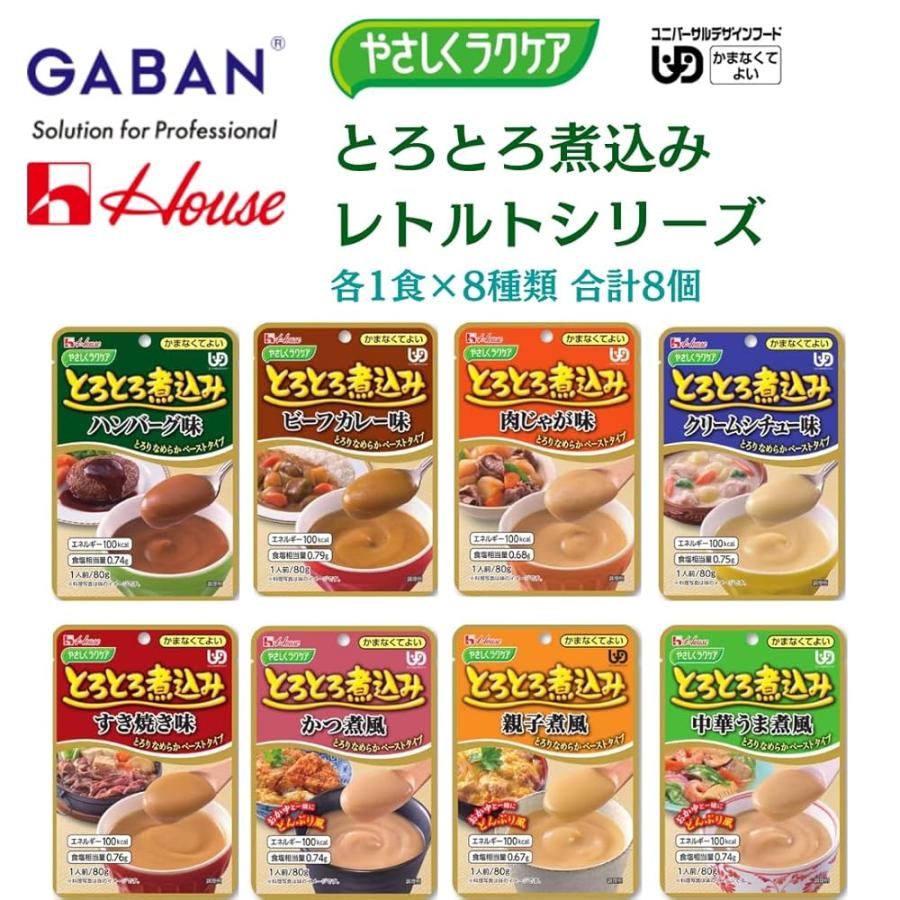 介護食　ハウスギャバン　やさしくラクケア　とらとろ煮込み　10種類セット ハウスギャバン やさしくラクケア とろとろ煮込み シリーズ 食べ比べ