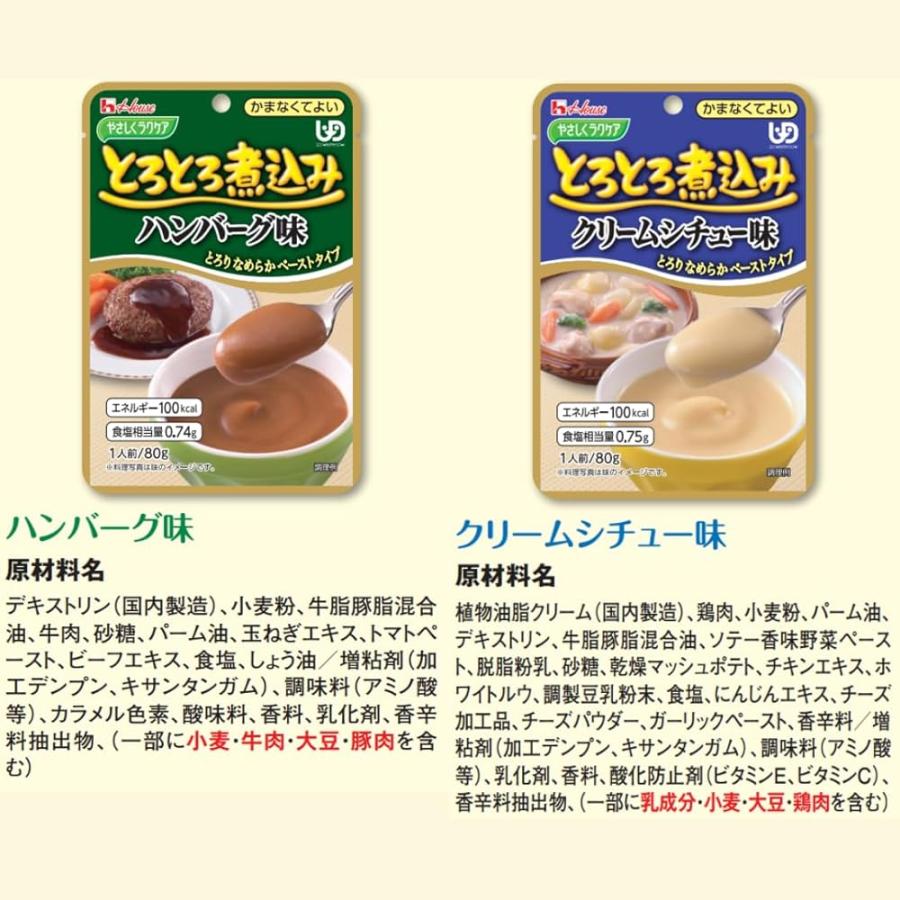 介護食　ハウスギャバン　やさしくラクケア　とらとろ煮込み　10種類セット ハウスギャバン やさしくラクケア とろとろ煮込み シリーズ 食べ比べ