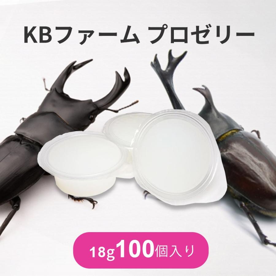 【送料無料】 KBファーム プロゼリー 16ｇ1000個 純国産 昆虫ゼリー Amazon | KBファーム 昆虫ゼリー プロゼリー(16g 200個入り