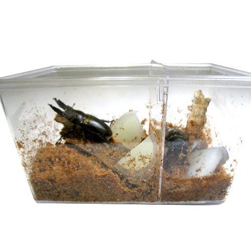 シーラケース 昆虫飼育ケース クリアースライダー スモールサイズ