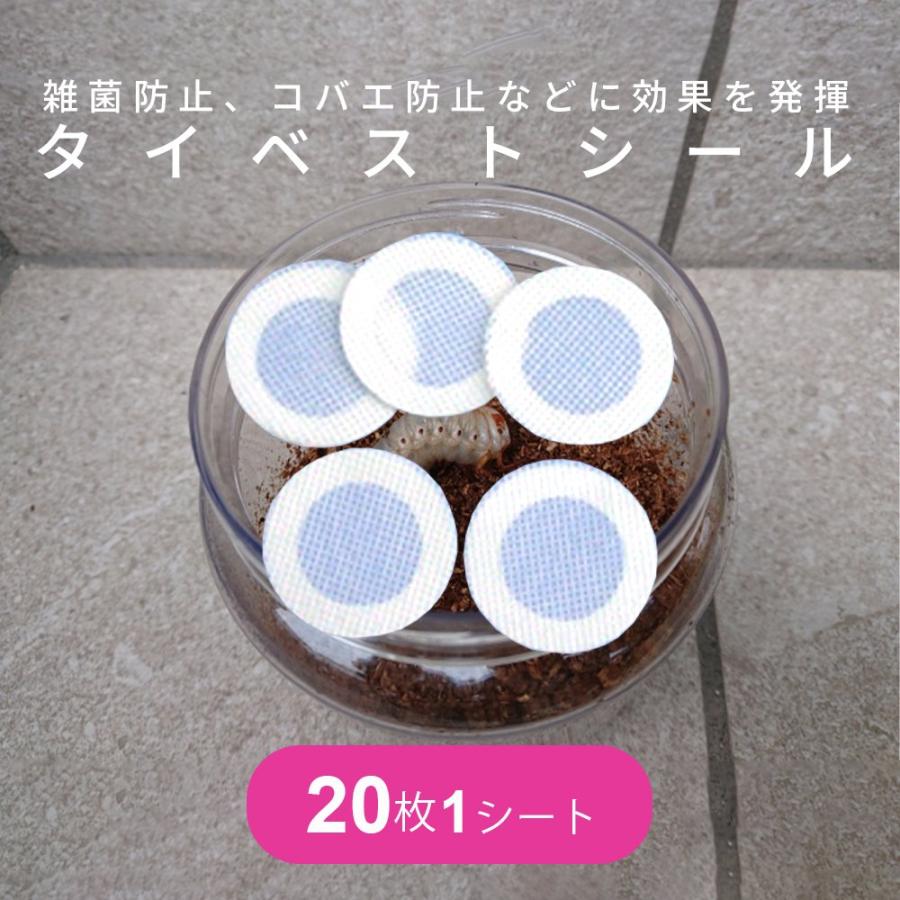通常サイズ（大） タイベストシール（不織布）2000枚 【新品・未使用】 Amazon.co.jp: タイベストシール（不織布シール）100枚（20枚×5
