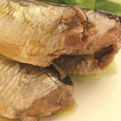 HOKO（宝幸） 【】オリーブオイルサーディン（いわし油漬）100g×24缶