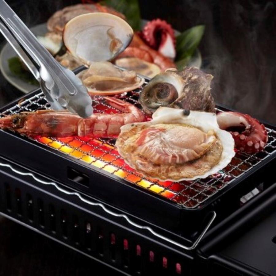 炙りや イワタニ 炉端焼器 炙りやII 2 卓上グリル プレート 炙りや イワタニ 炉端焼器 炙りやII 2 卓上グリル プレート