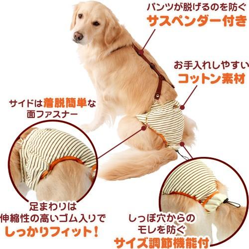 Petio ペティオ 老犬介護用 おむつパンツ サスペンダー付き L 中型犬用 ユートピア 猫用品 フード専門店 通販 Yahoo ショッピング