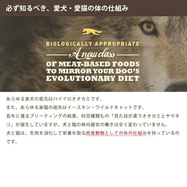 国内初の直営店 アカナ(ACANA) ワイルドプレイリー ドッグ 6kg 【全犬種用/全ライフ(子犬・成犬・高齢犬)/ドッグフード/ACANA/ドライフード/ペットフード】【犬用品 犬(いぬ・イヌ)/ペット・ペットグッズ/ペット用品】【レジオナル/REGIONALS/wpd】【送料無料】 - 成犬