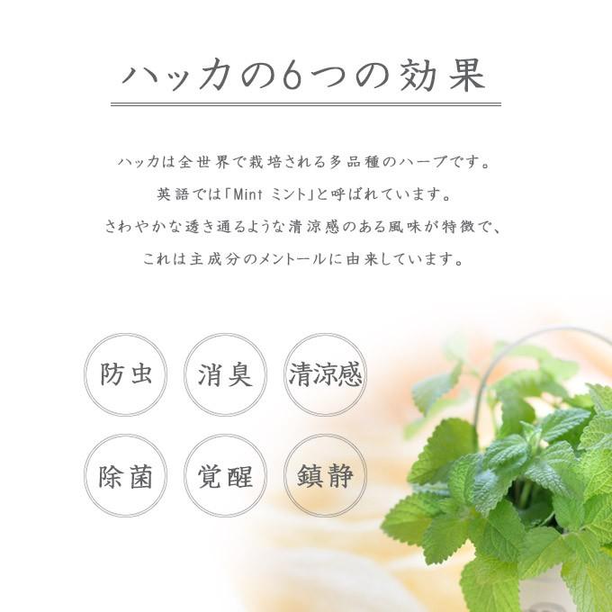 Hakka Care メンテナンスクリーム 10cc ハッカ ケア 薄荷 虫除け スプレータイプ 防虫 対策 忌避 お出かけ お散歩 犬 ドッグ ペット グッズ 用品 ku ユートピア 猫用品 フード専門店 通販 Yahoo ショッピング