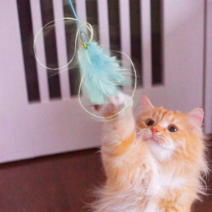 じゃれ羽 魅惑のゆらフワdance ドレッシー ブルー ■ 猫用 ドギーマンハヤシ キャット ねこ ネコ 猫じゃらし じゃらし TOY おもちゃ オモチャ 玩具|utopia-y|03
