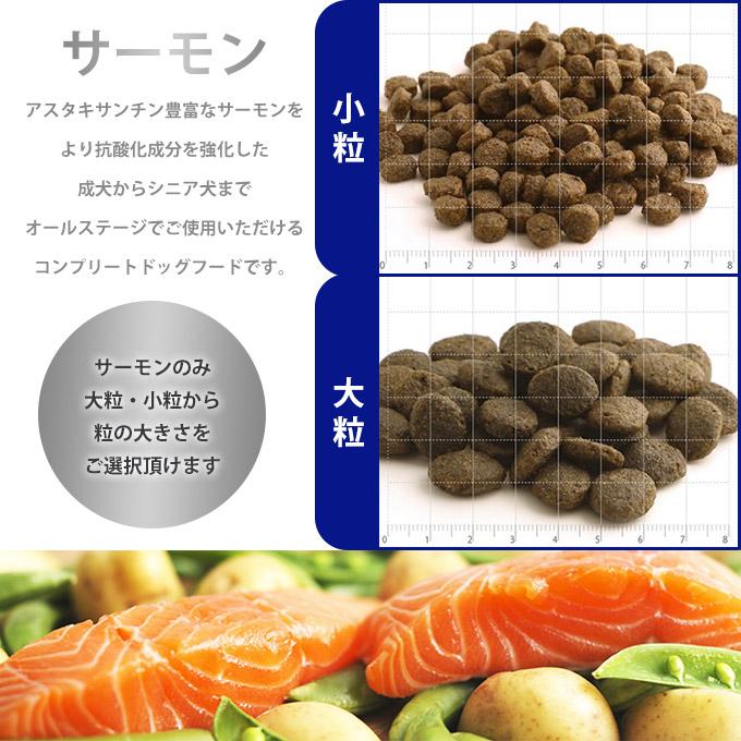 夏セール開催中 フィッシュ４ドッグ サーモン シニア 小粒 15kg