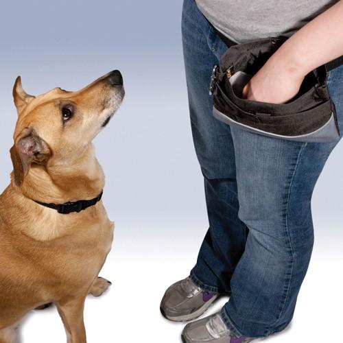 Premier トリーツポーチ ブラック お出かけ お散歩グッズ おでかけグッズ 犬用品 ペット ペットグッズ ペット用品 しつけグッズ 躾グッズ Premier0003 ユートピア 猫用品 フード専門店 通販 Yahoo ショッピング