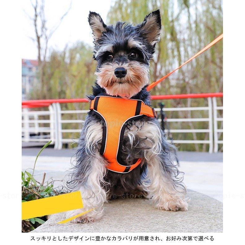 73%以上節約 ペット ハーネス リード 2点セット ドッグウェア 胴輪 犬用 犬服 お洒落 シンプル ペット用品 セットアップ exodusoverseas.com 73%以上節約 ペット ハーネス リード 2点セット ドッグウェア 胴輪 犬用 犬服 お洒落 シンプル ペット用品 セットアップ exodusoverseas.com