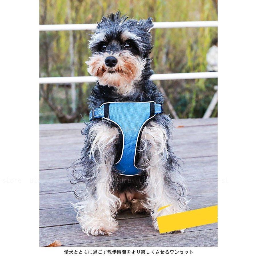 73%以上節約 ペット ハーネス リード 2点セット ドッグウェア 胴輪 犬用 犬服 お洒落 シンプル ペット用品 セットアップ exodusoverseas.com 73%以上節約 ペット ハーネス リード 2点セット ドッグウェア 胴輪 犬用 犬服 お洒落 シンプル ペット用品 セットアップ exodusoverseas.com