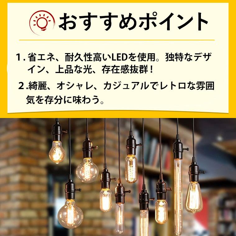 DENKO HOME（電光ホーム） エジソン電球 G80 エジソンバルブ