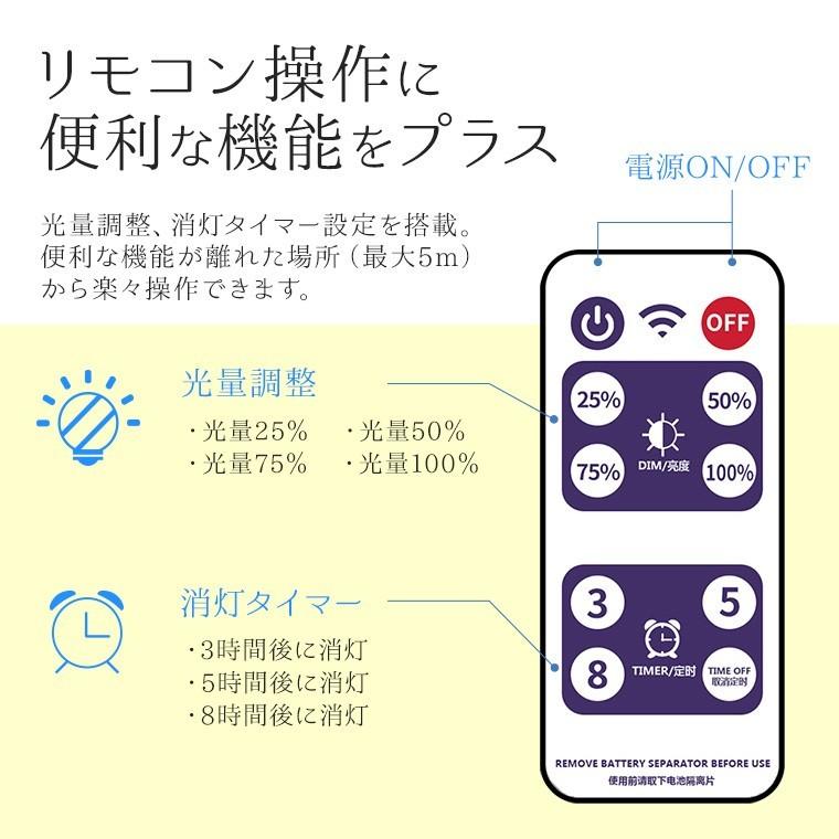 DENKO HOME（電光ホーム） イルミネーションライト ソーラー 屋外 LED