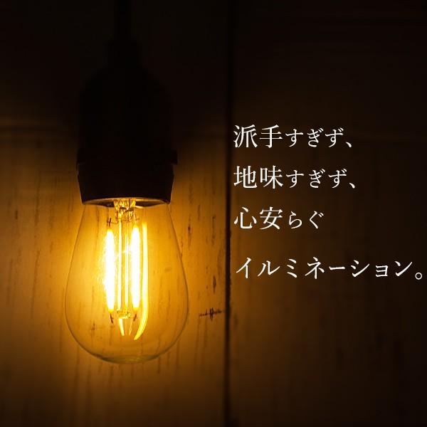 DENKO HOME（電光ホーム） LED ストリングライト ガーデンライト 屋外